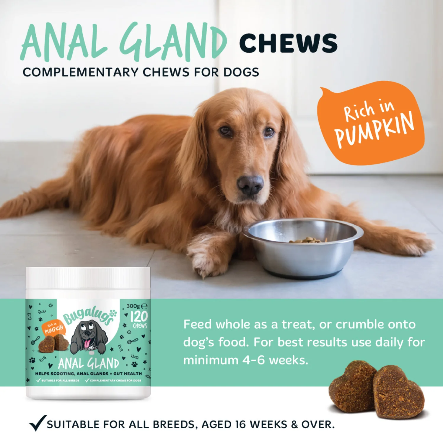 Anal Gland Supplement Chews for Dogs - Image 7