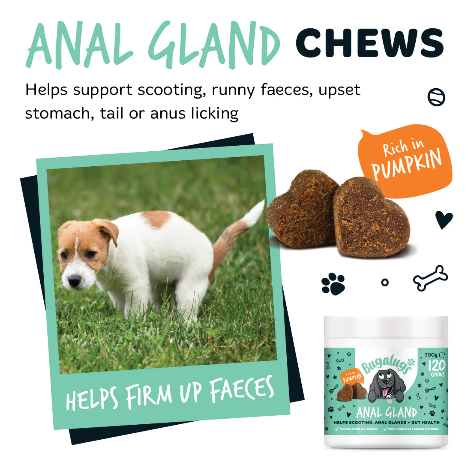 Anal Gland Supplement Chews for Dogs - Image 4