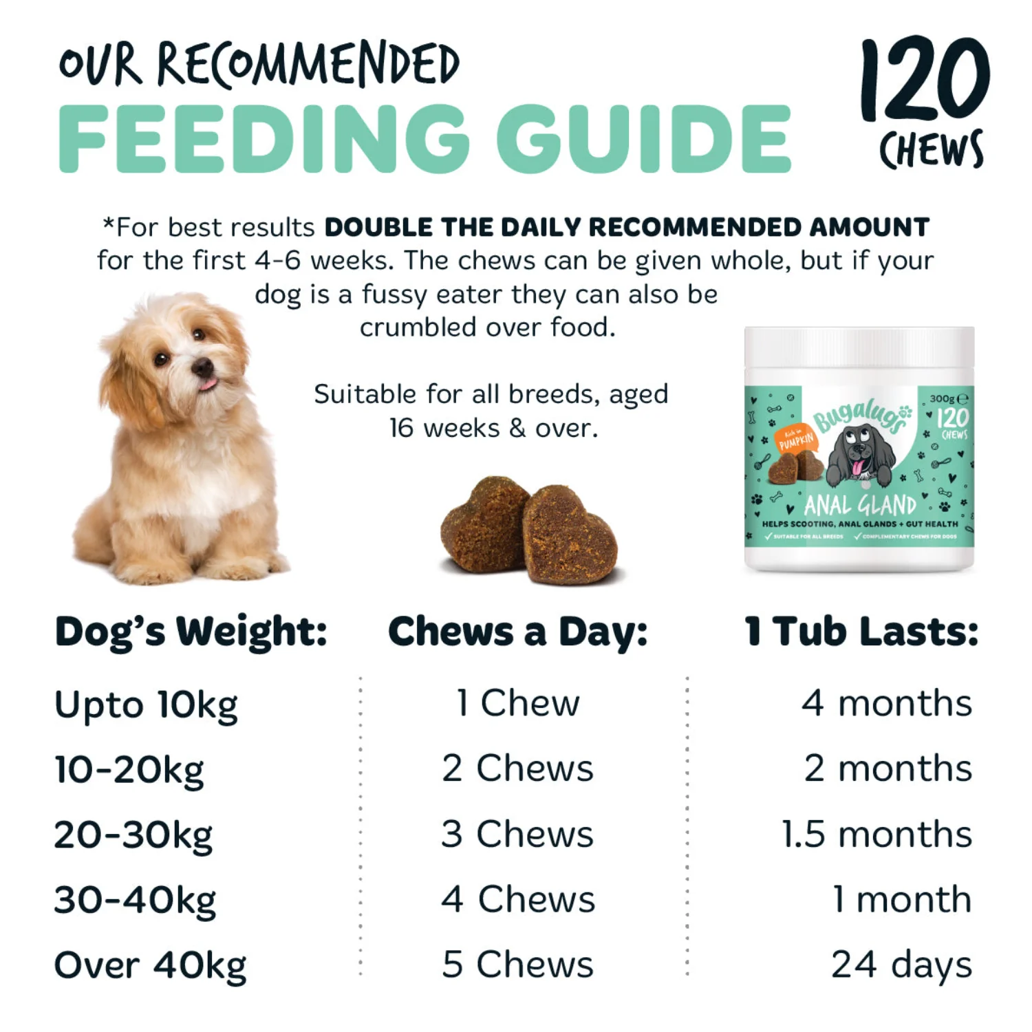 Anal Gland Supplement Chews for Dogs - Image 8
