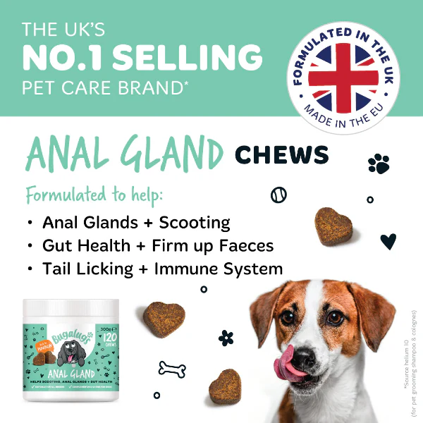 Anal Gland Supplement Chews for Dogs 3-Pack - Image 10