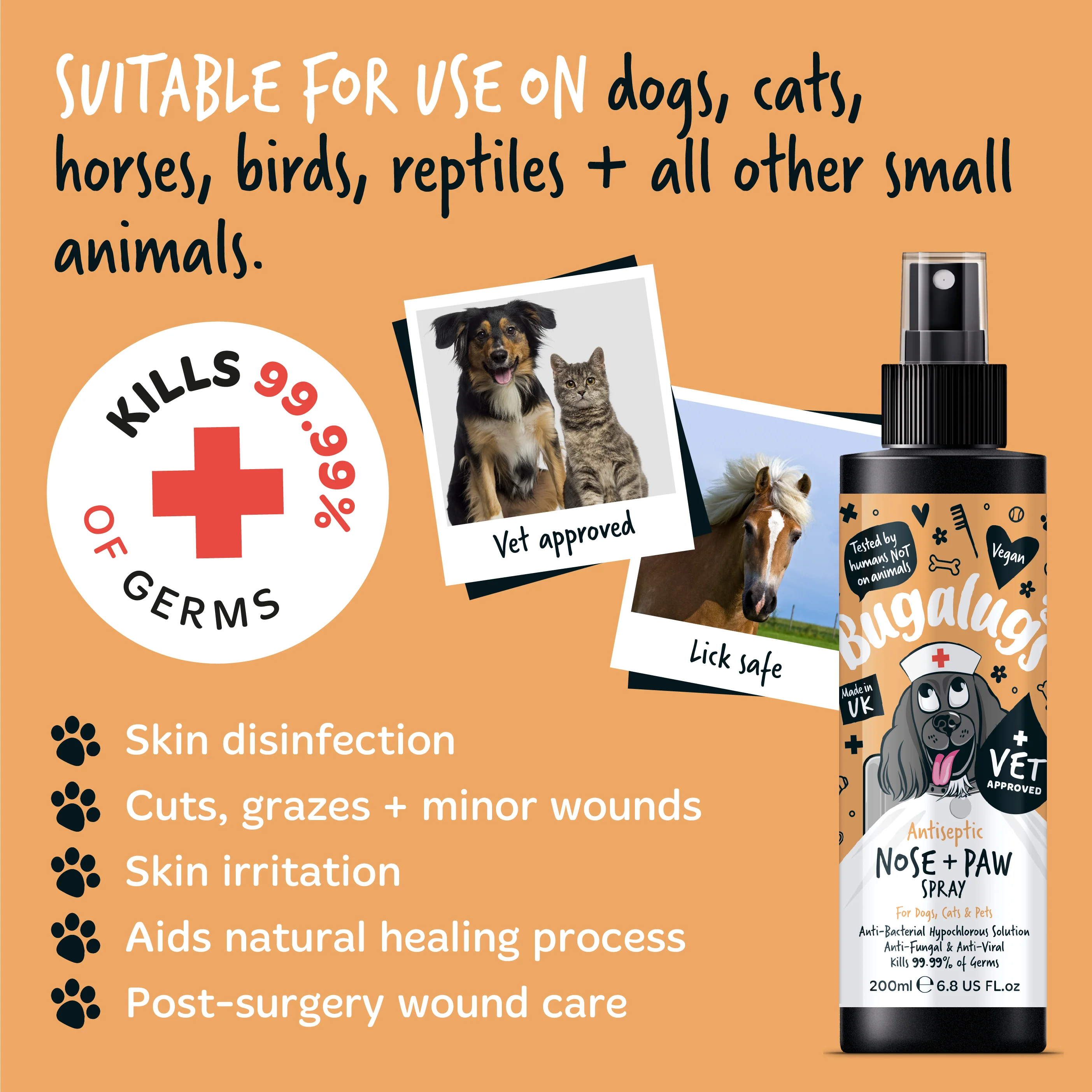 Antiseptic Nose & Paw Spray for Dogs, Cats & Pets - Image 8