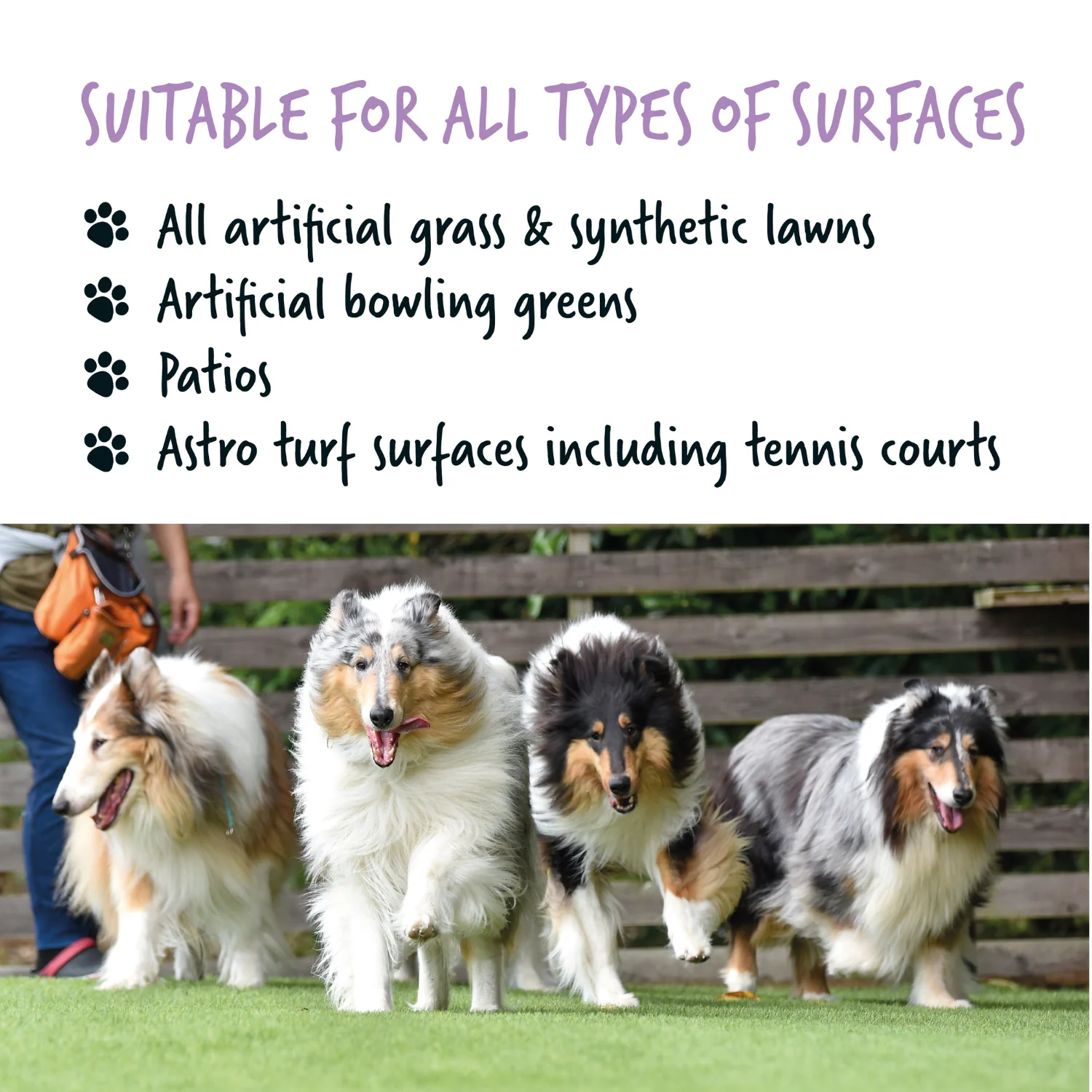 Artificial Grass Cleaner in Lavender Fragrance - Image 8