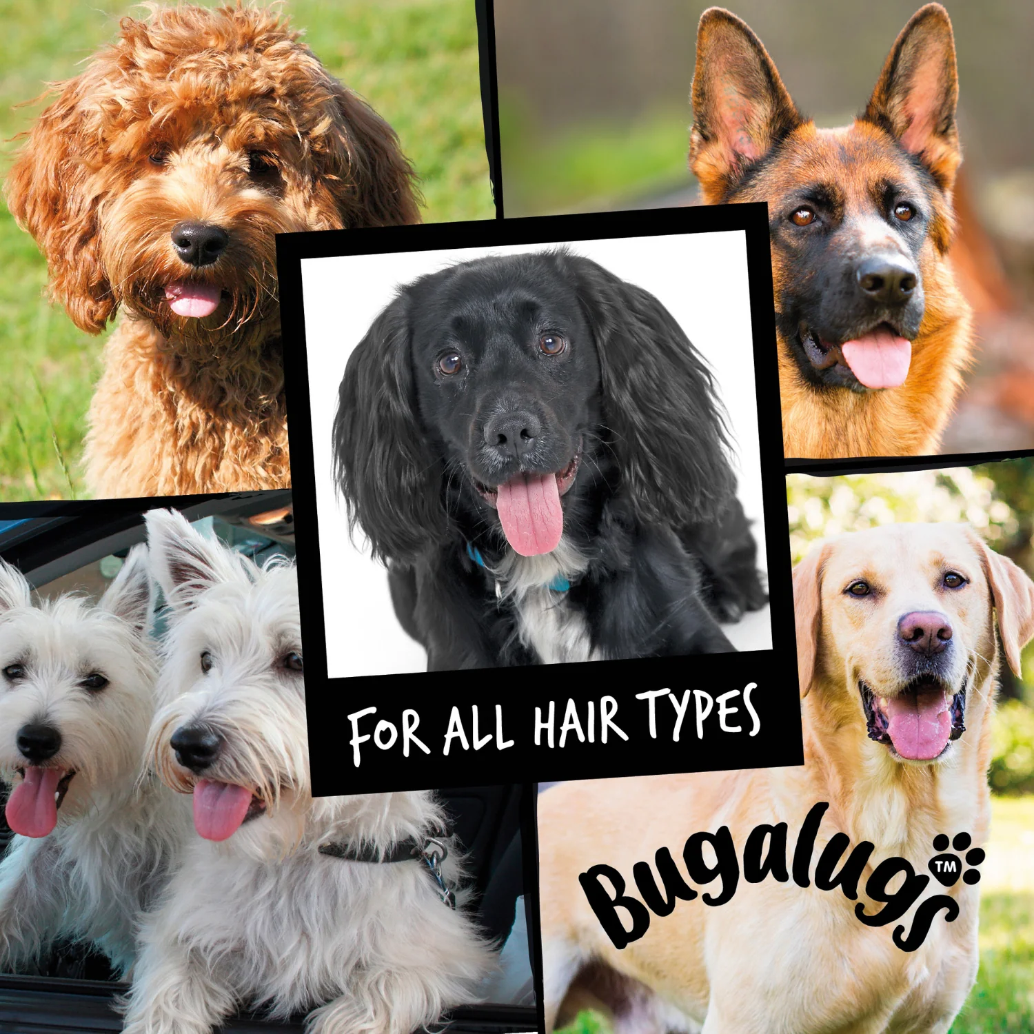 Baby Fresh Detangling Spray for Dogs - Image 9