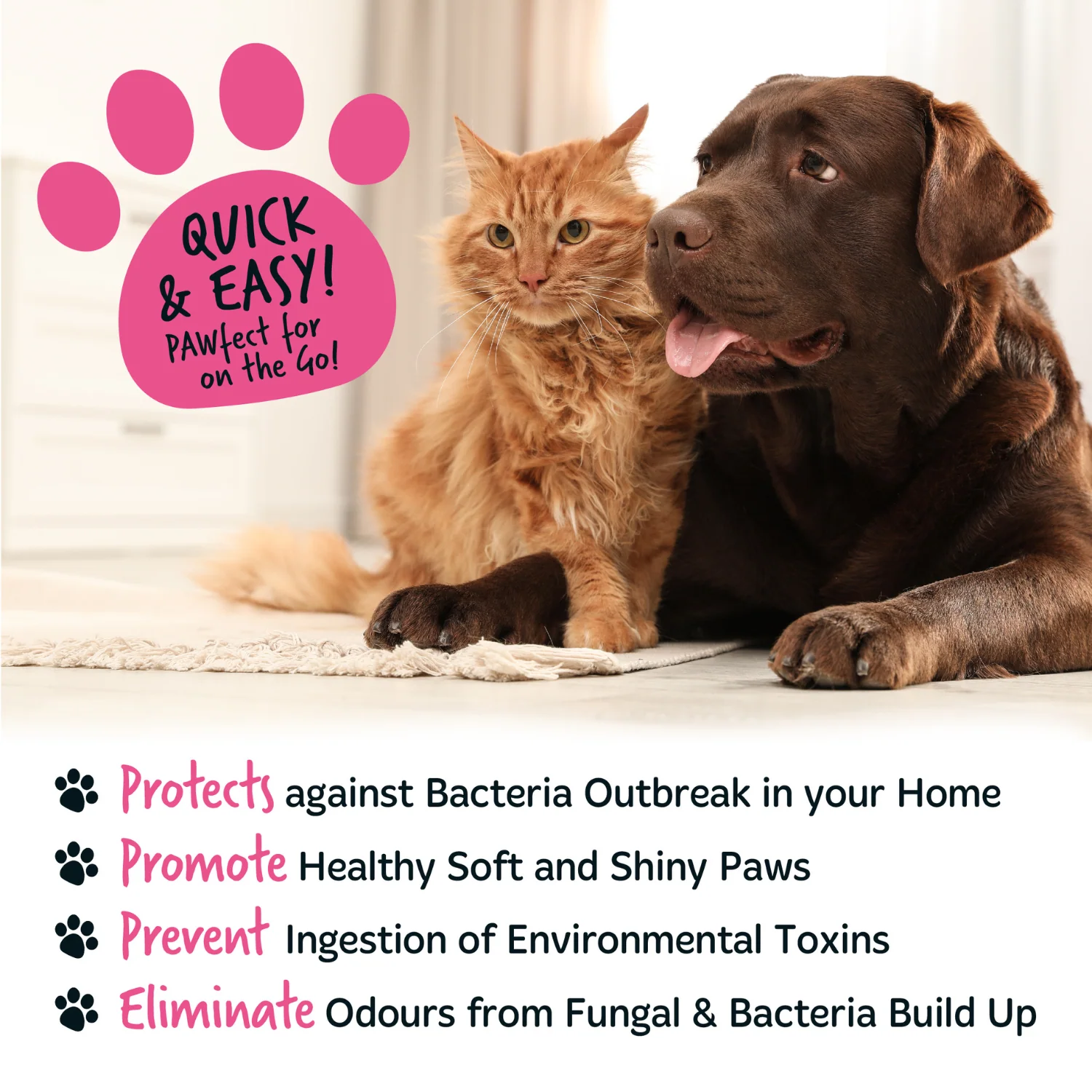 Baby Fresh No-Rinse Paw Cleaner for Dogs & Cats - Image 9