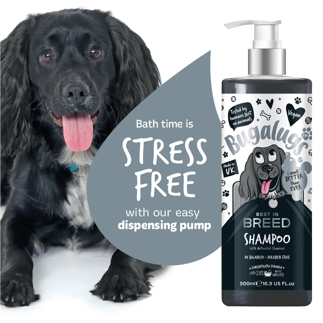 Best in Breed Dog Shampoo - Image 11