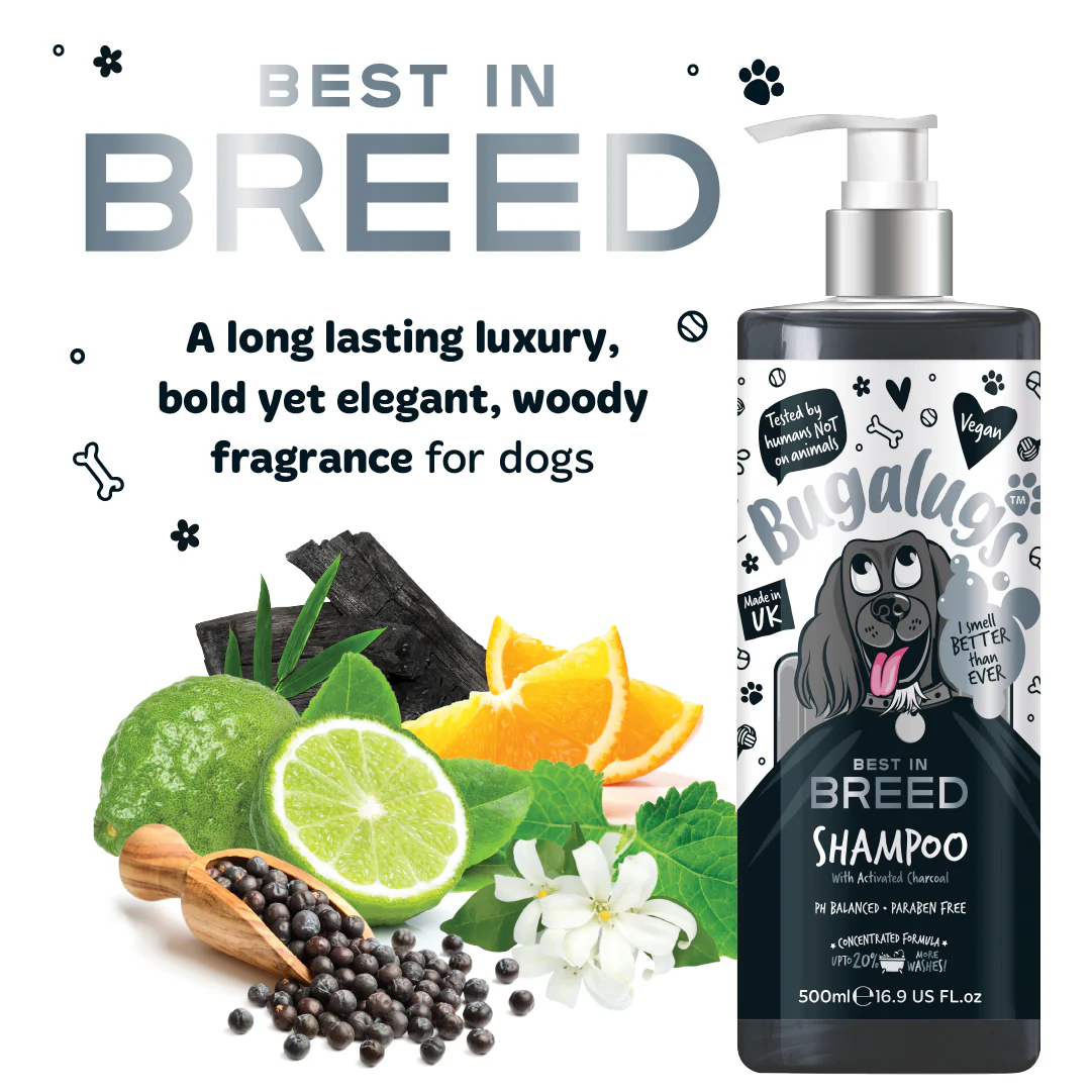 Best in Breed Dog Shampoo - Image 3