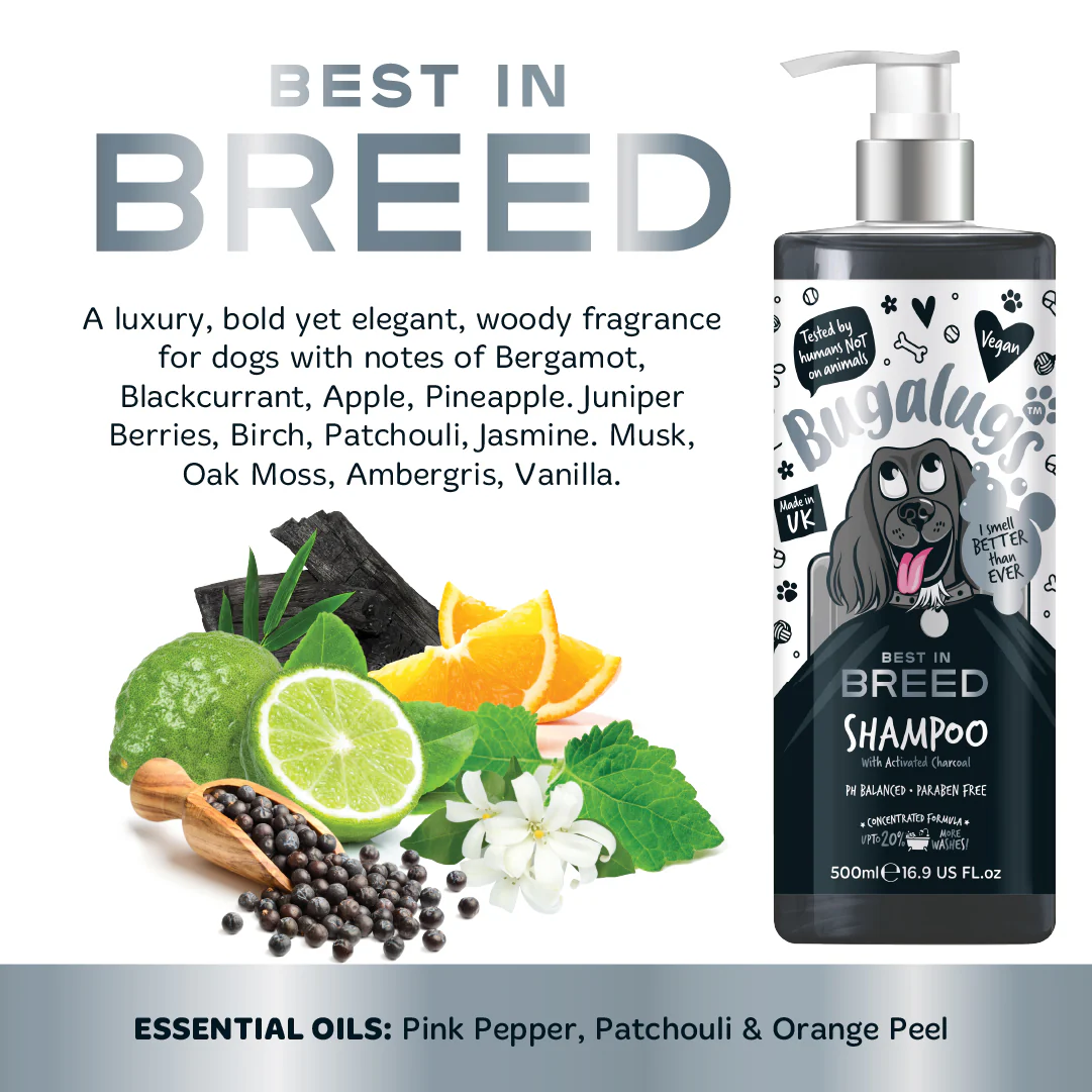 Best in Breed Dog Shampoo - Image 9