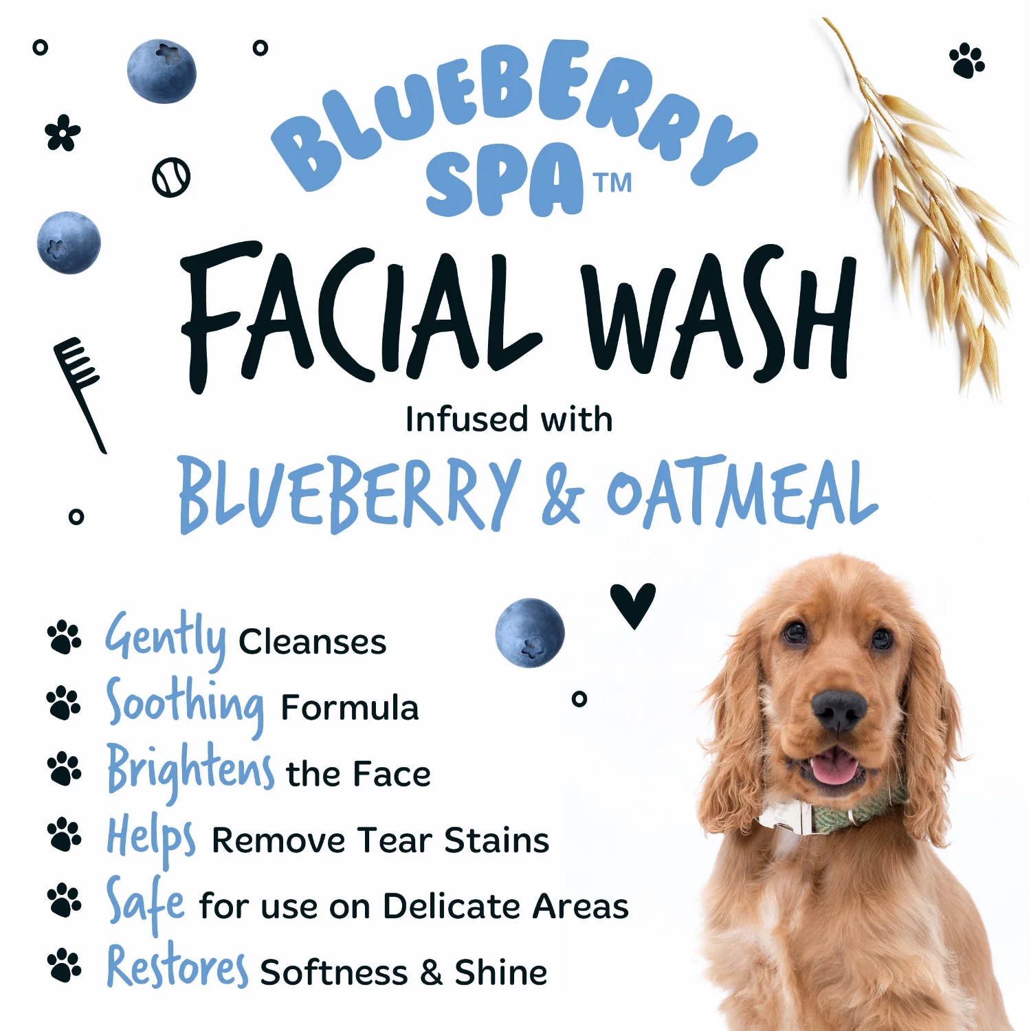 Blueberry Spa™ Facial Wash for Dogs - Image 5