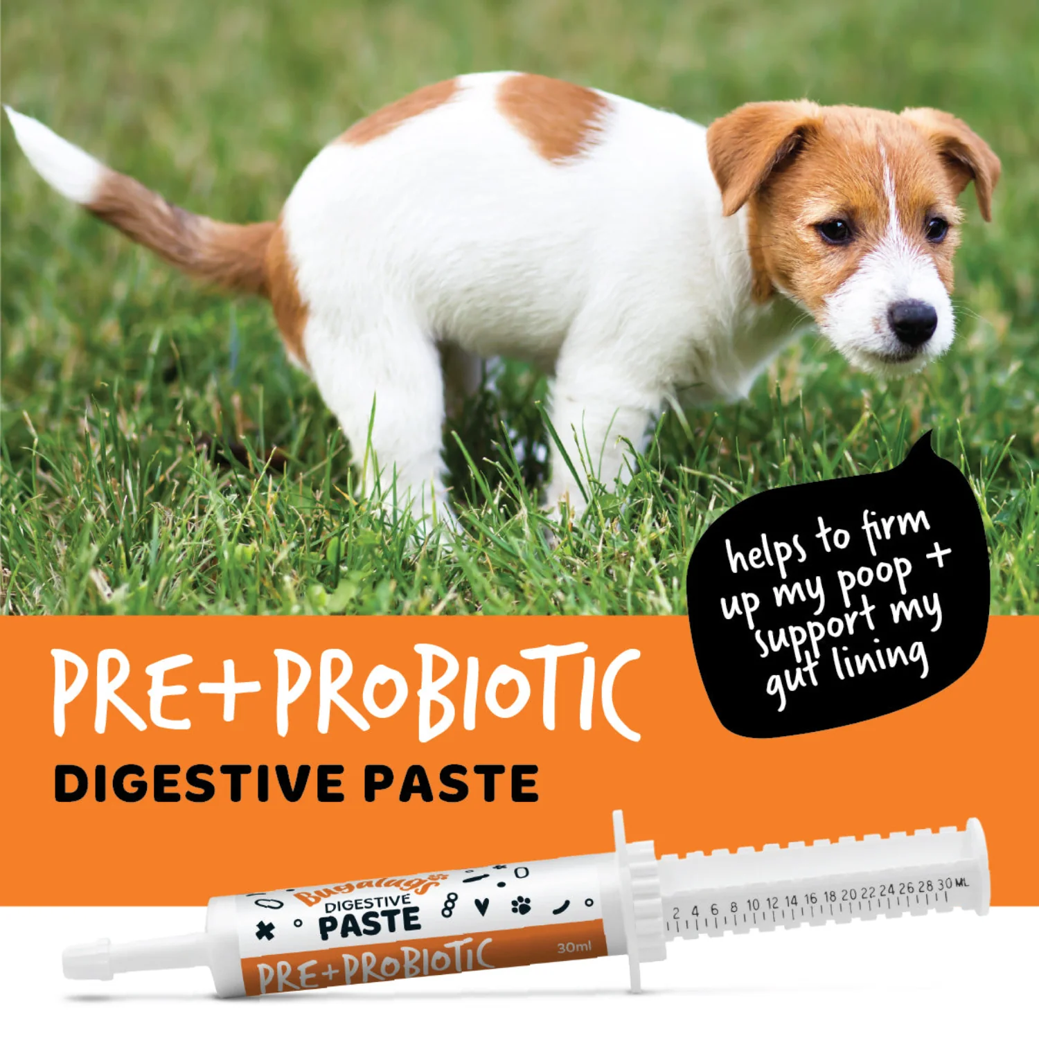 Pre & Probiotic Digestive Paste for Dogs & Cats (30ml) - Image 10
