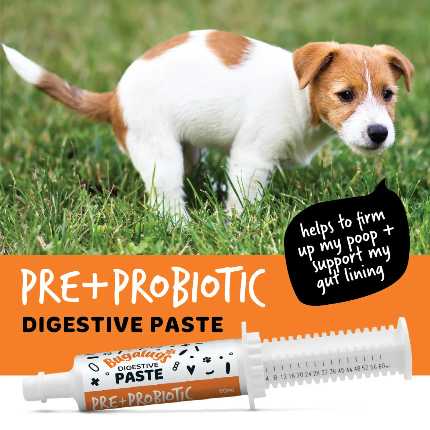 Pre & Probiotic Digestive Paste for Dogs & Cats (60ml) - Image 10