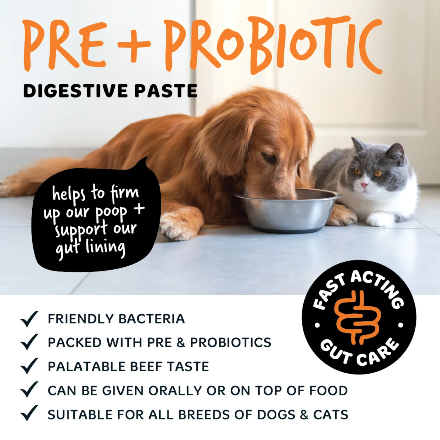 Pre & Probiotic Digestive Paste for Dogs & Cats (60ml) - Image 5