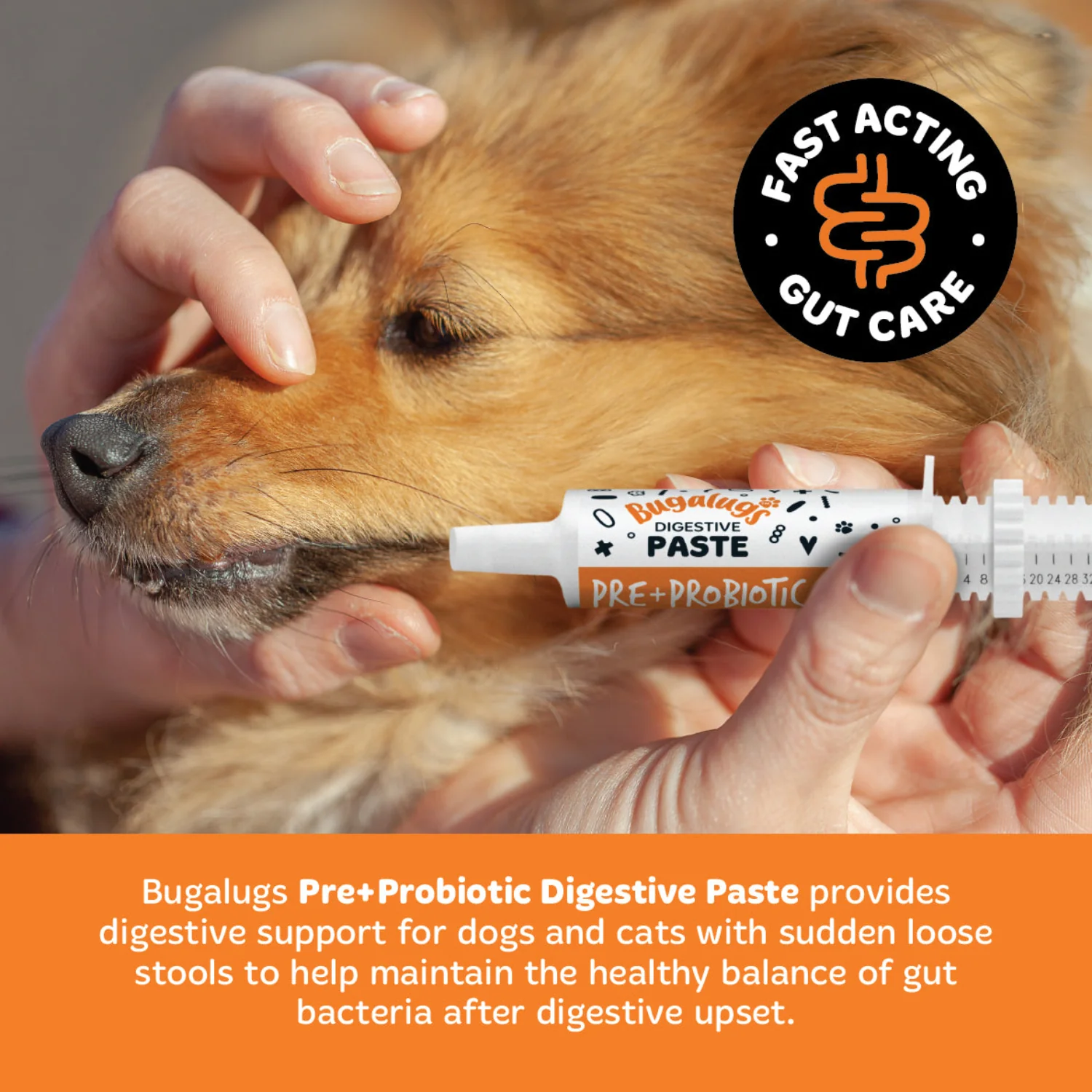 Pre & Probiotic Digestive Paste for Dogs & Cats (60ml) - Image 6