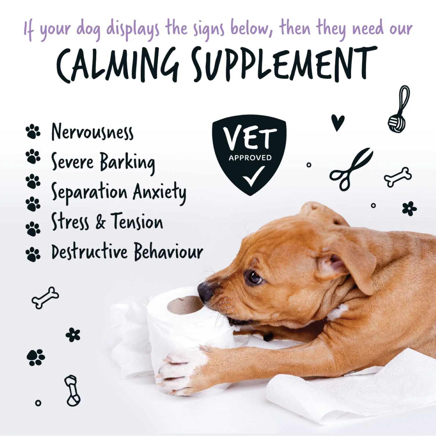 Natural Calming Supplement Powder for Dogs (200g) - Image 5