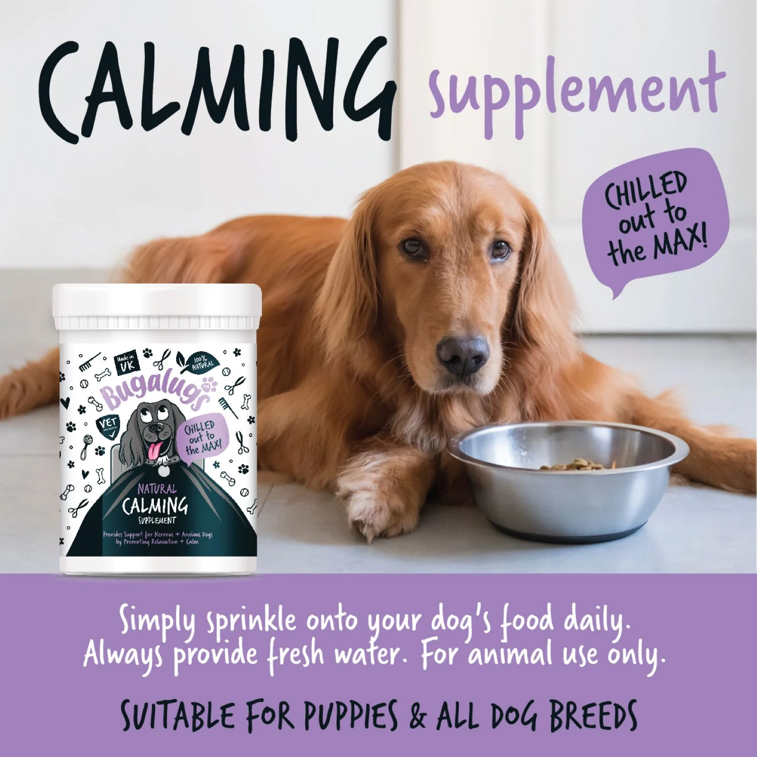 Natural Calming Supplement Powder for Dogs (200g) - Image 6