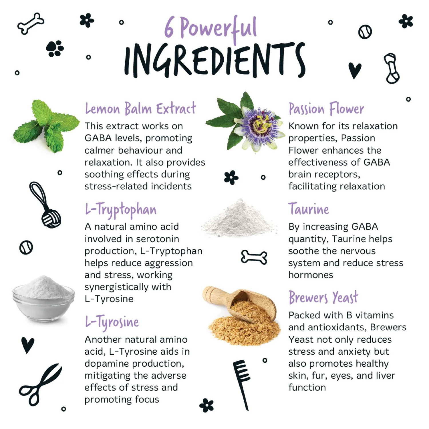 Natural Calming Supplement Powder for Dogs (80g) - Image 3