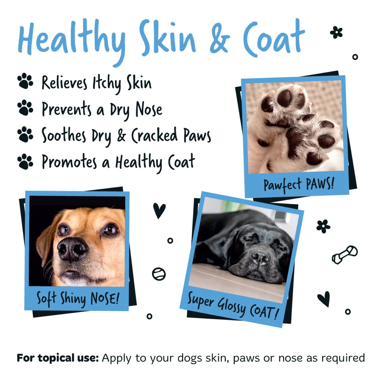 100% Natural Coconut Oil for Dogs - Image 7