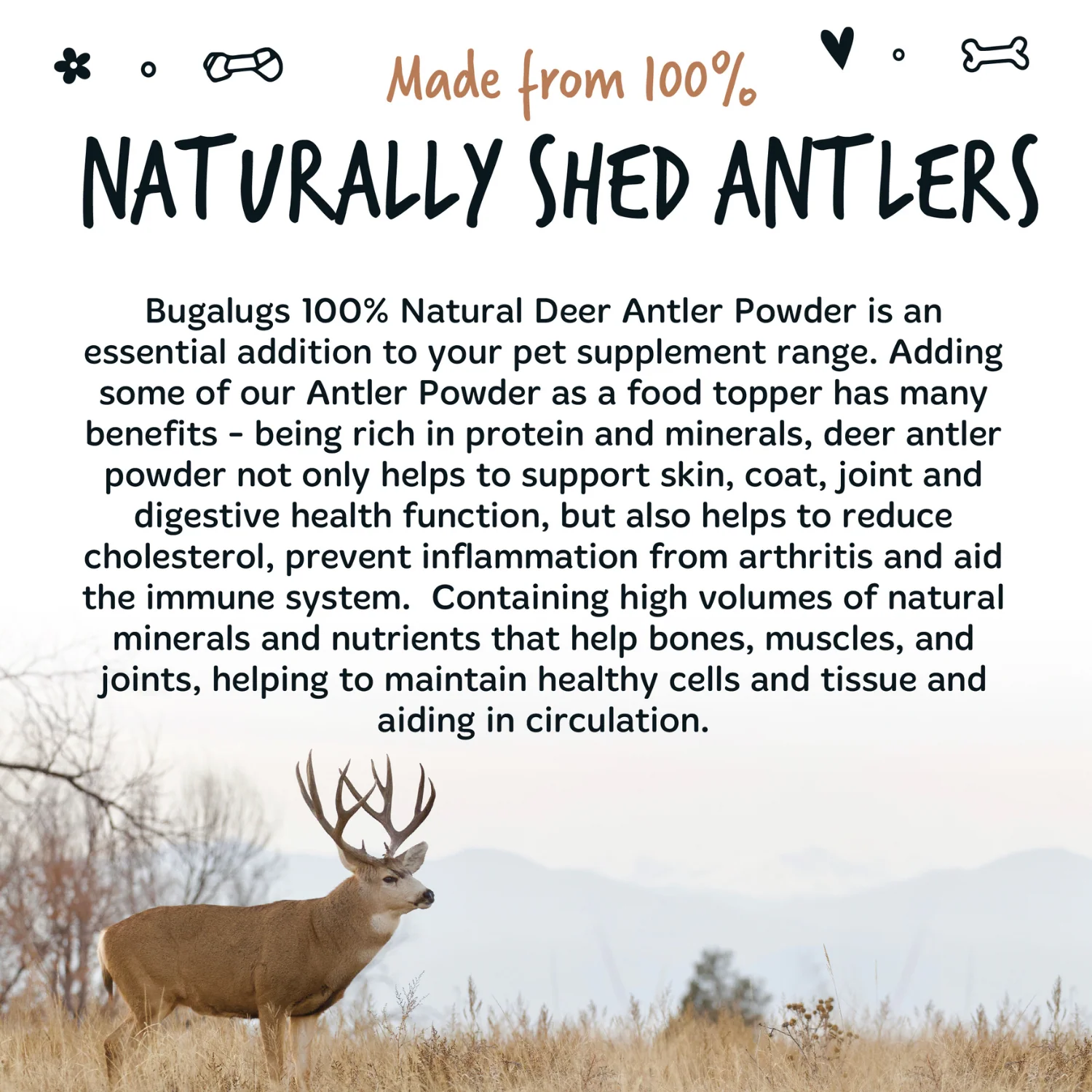 Natural Deer Antler Supplement Powder for Dogs (200g) - Image 3