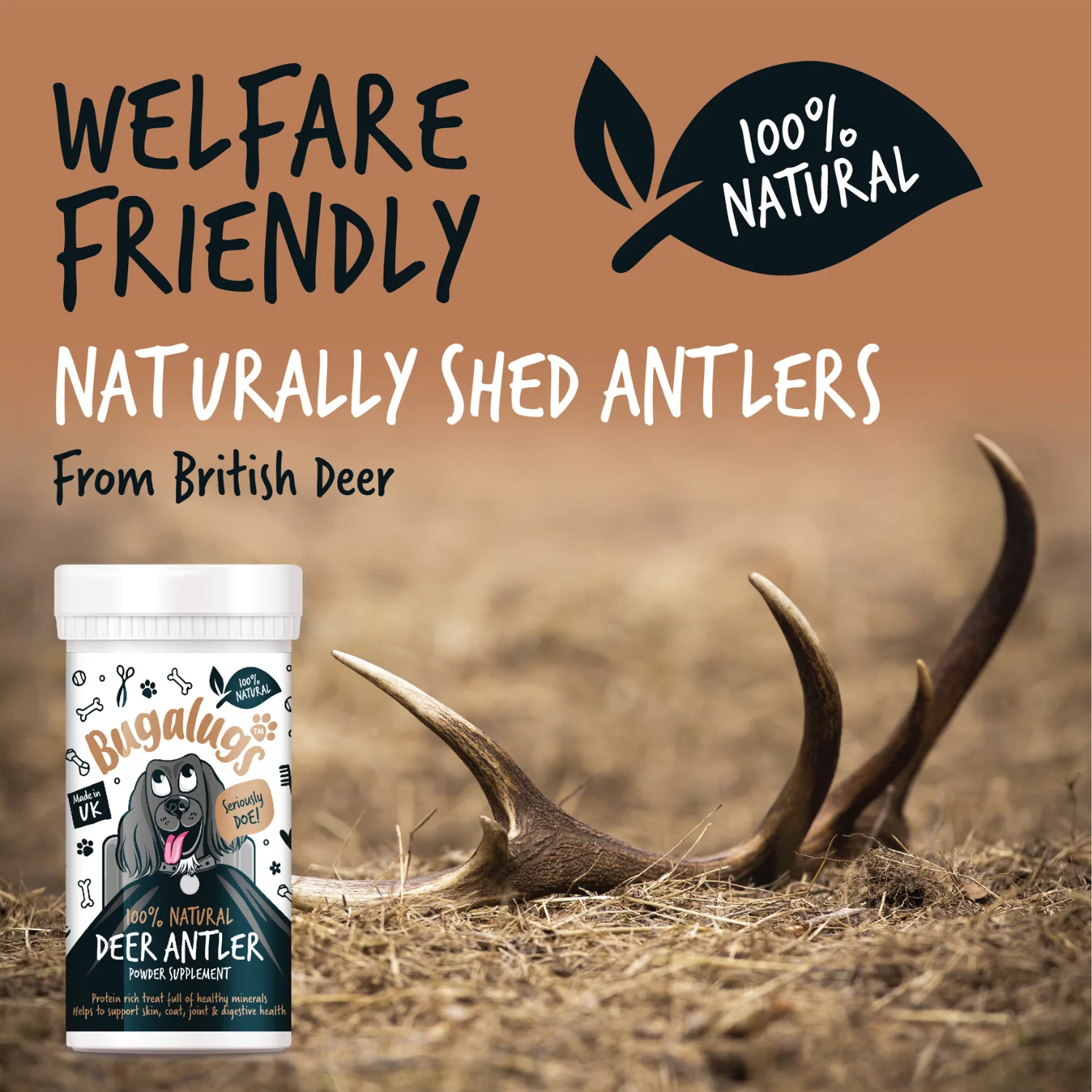 Natural Deer Antler Supplement Powder for Dogs (70g) - Image 7