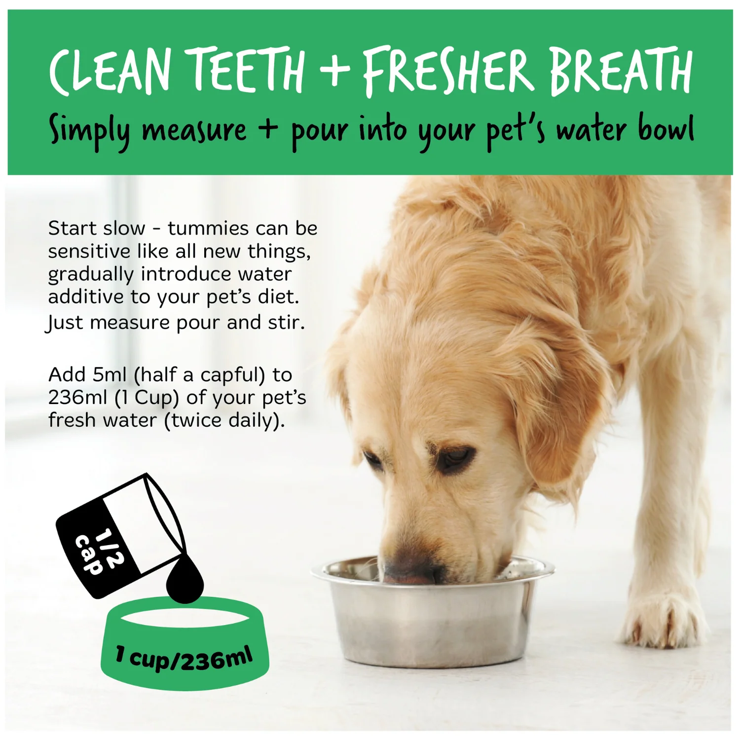 Dental Care Solution Water Additive for Dogs & Cats - Image 8