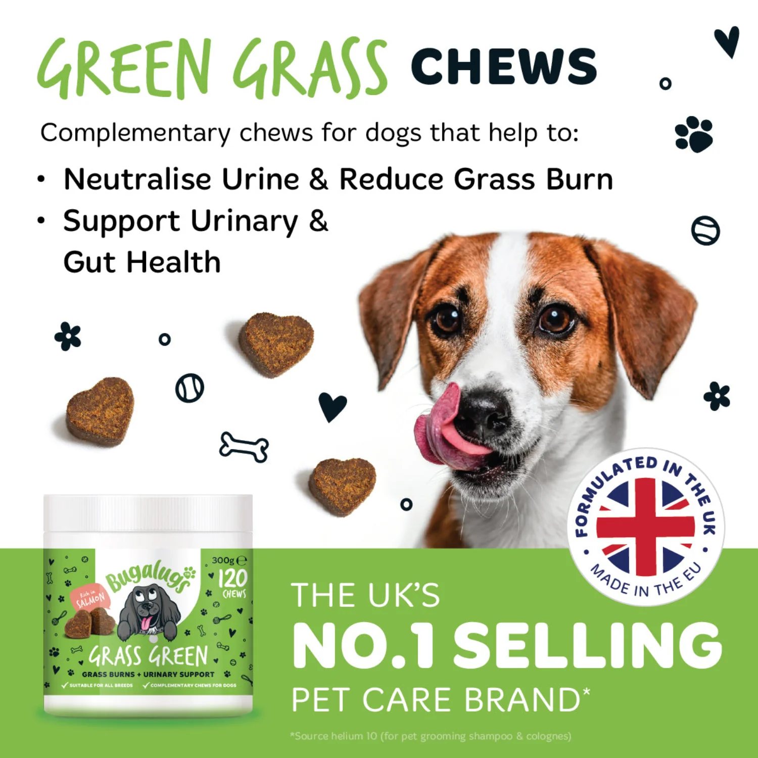 Grass Green Supplement Chews for Dogs 6-pack - Image 8