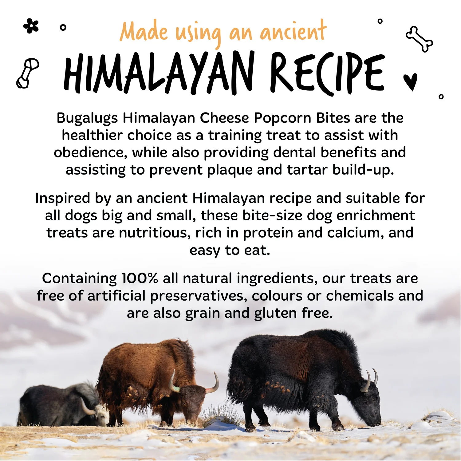 Handmade Himalayan Cheese Popcorn Bites for Dogs - Image 6
