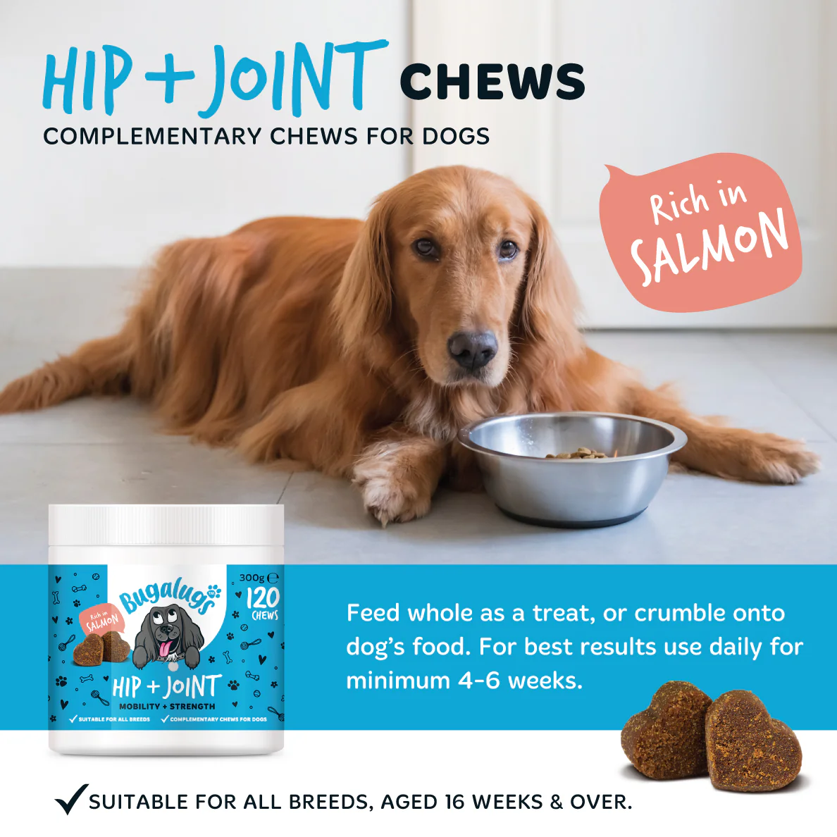 Hip & Joint Care Supplement Chews for Dogs 6-Pack - Image 4