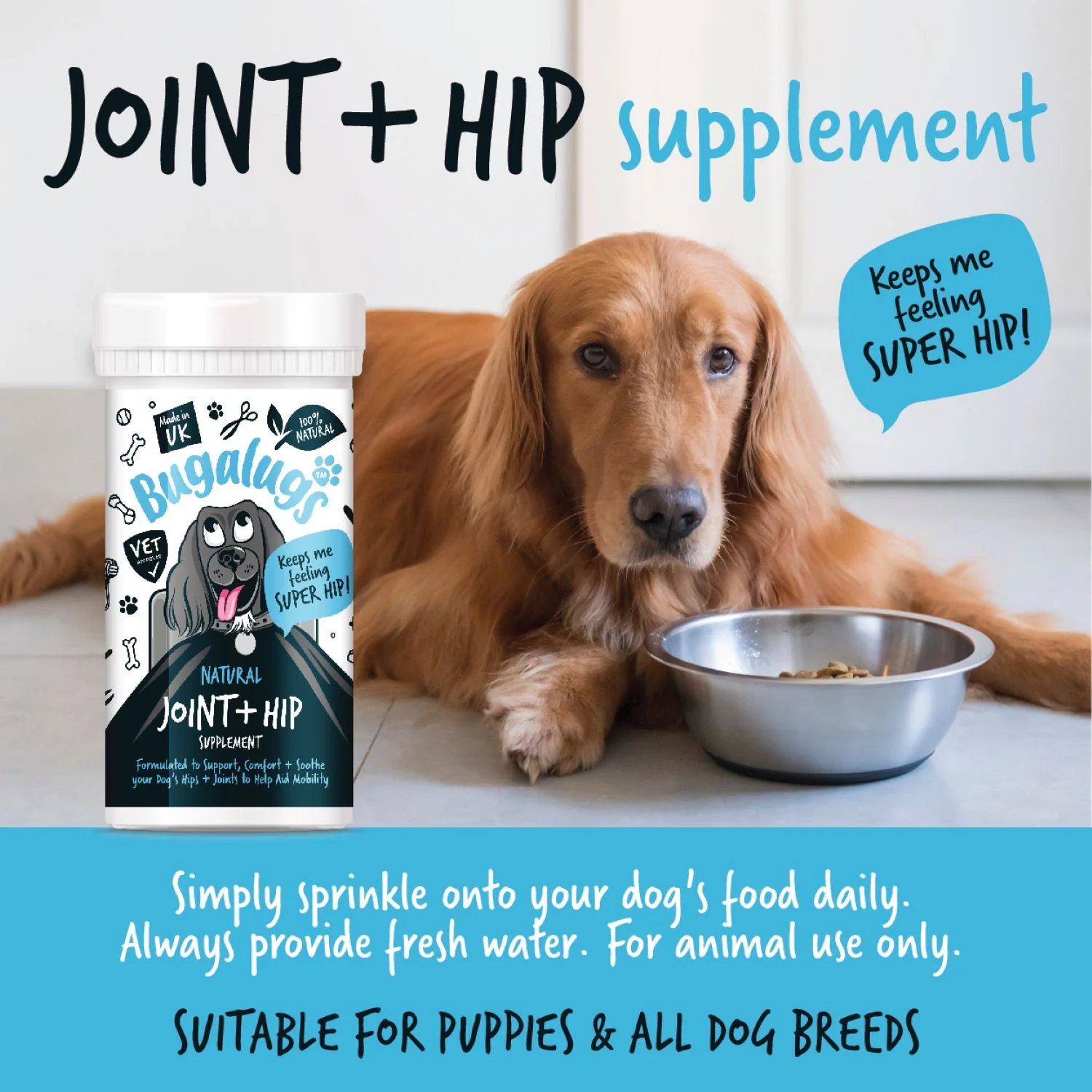 Natural Joint & Hip Supplement Powder for Dogs (80g) - Image 2