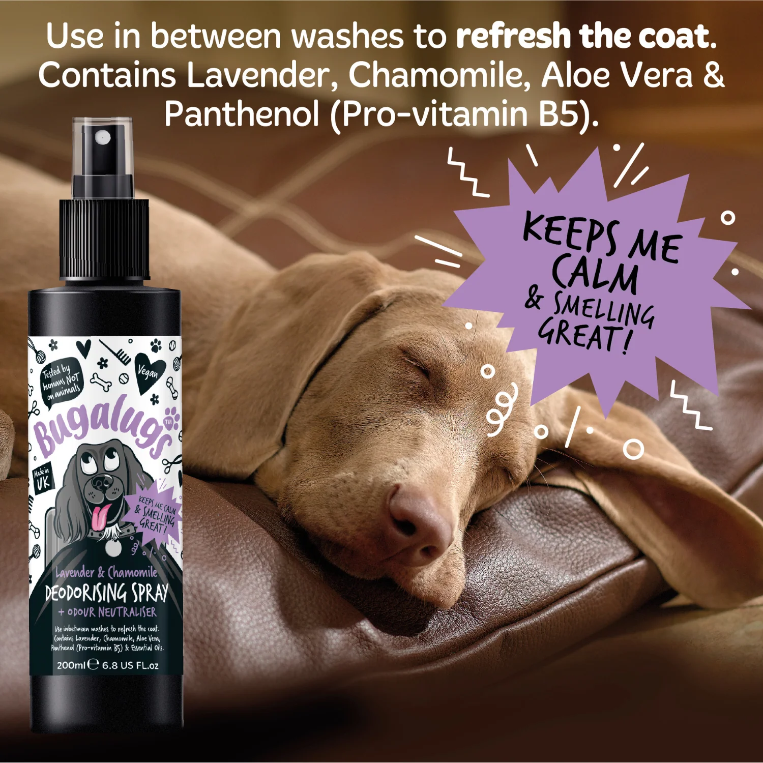 Lavender & Chamomile Dog Deodorising Spray with Odour Neutraliser - Image 5