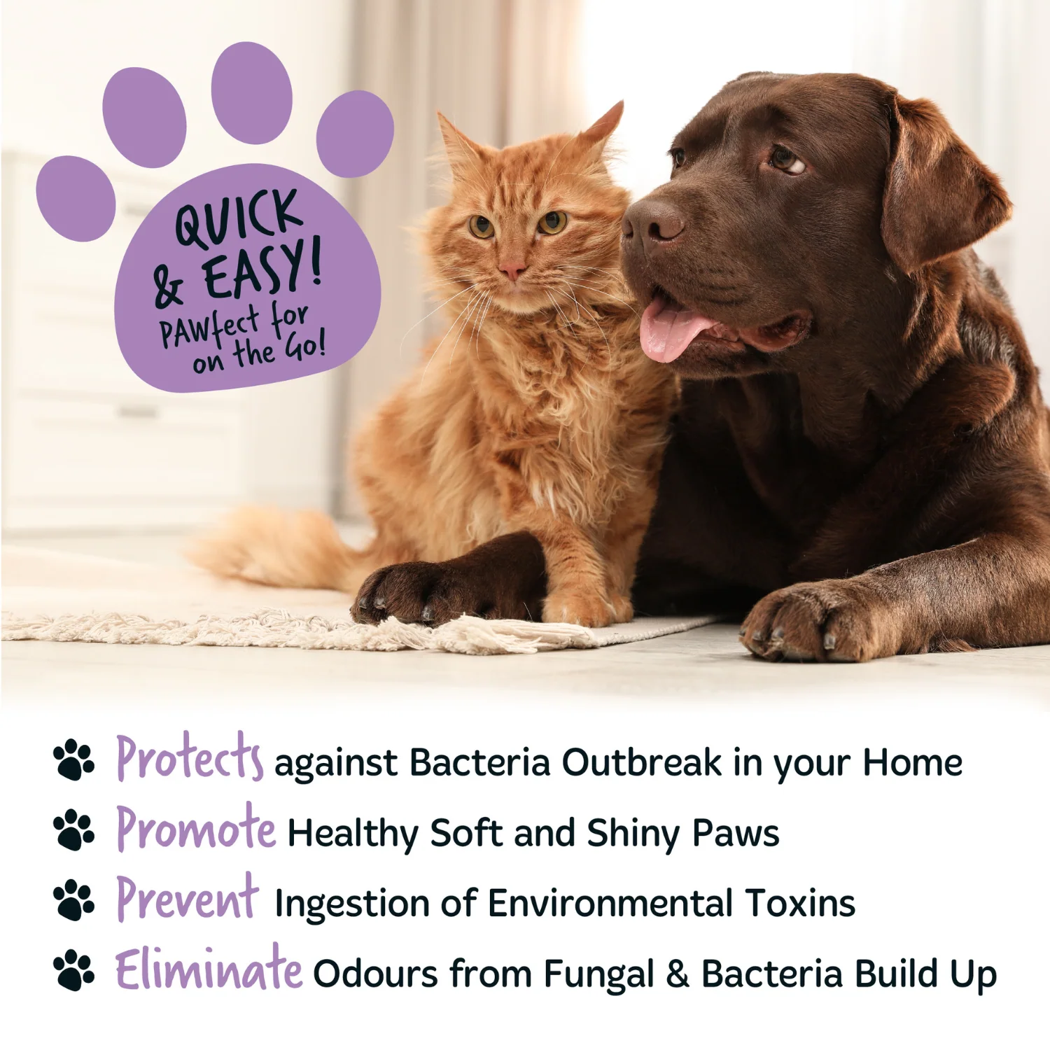 Lavender & Chamomile No-Rinse Paw Cleaner for Dogs & Cats - Image 10