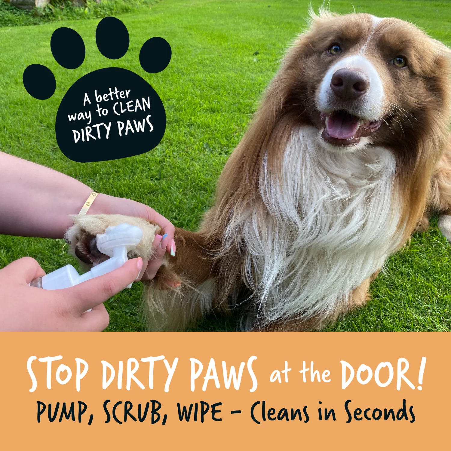 Oatmeal No-Rinse Paw Cleaner for Dogs & Cats - Image 4