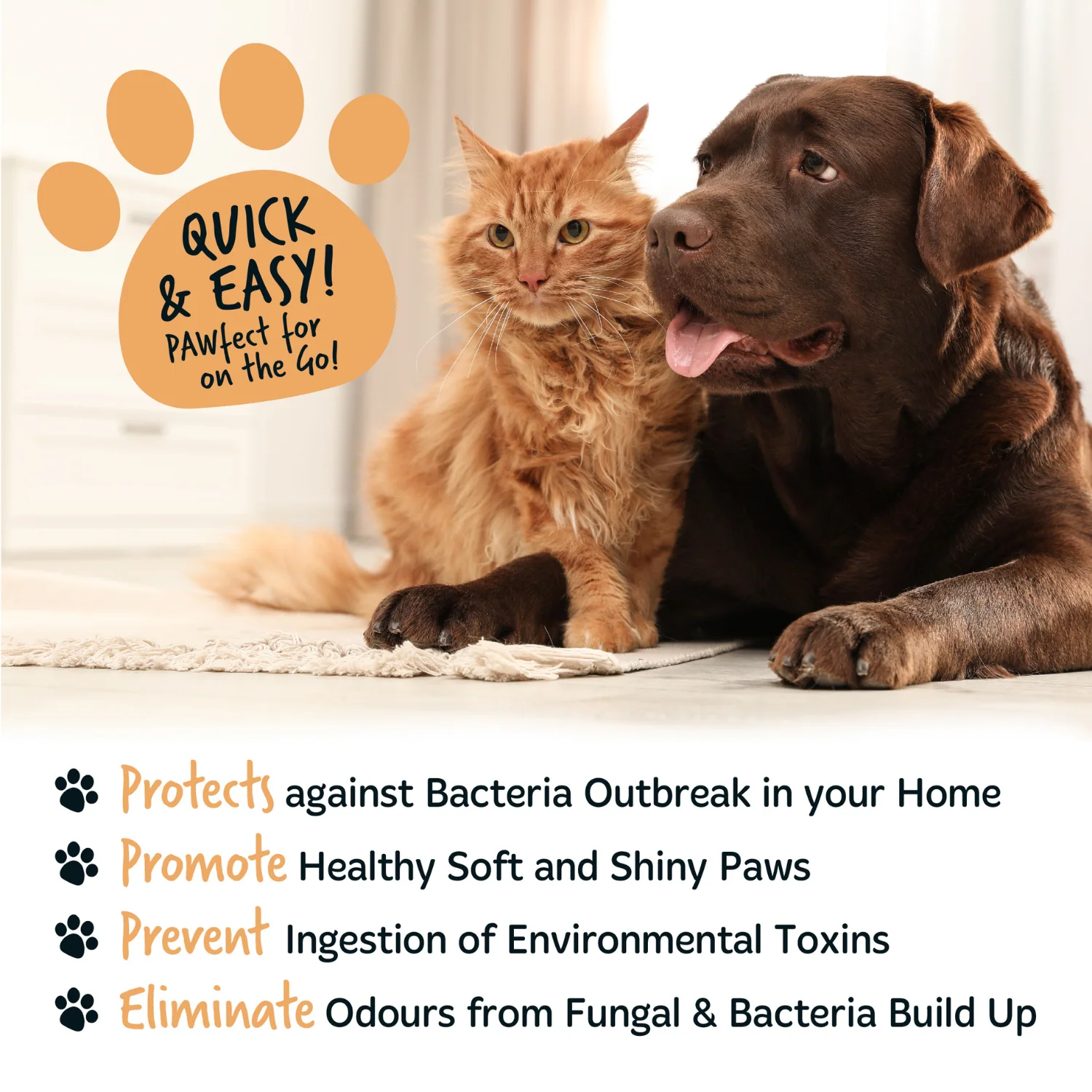 Oatmeal No-Rinse Paw Cleaner for Dogs & Cats - Image 9