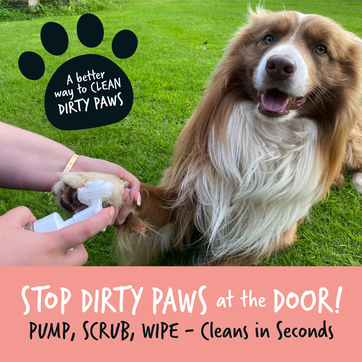 Papaya & Coconut No-Rinse Paw Cleaner for Dogs & Cats - Image 4