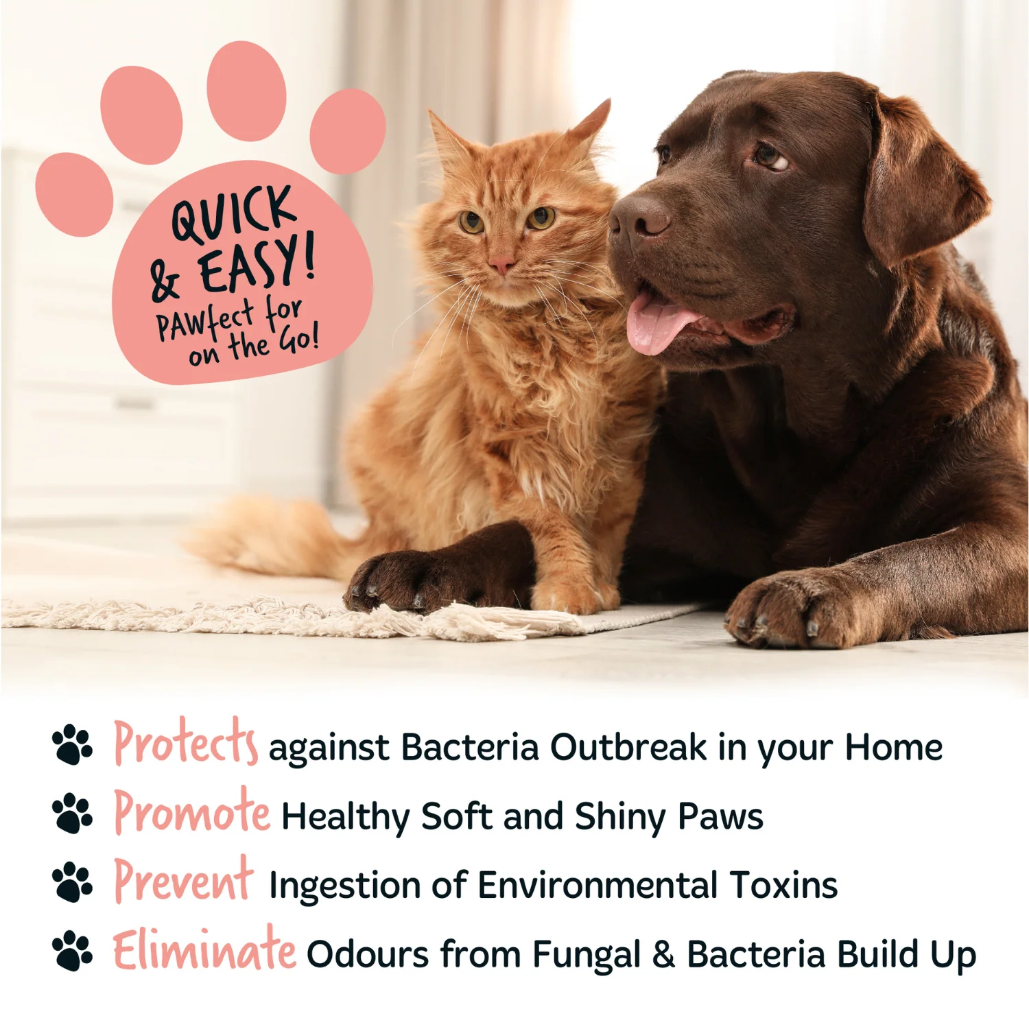 Papaya & Coconut No-Rinse Paw Cleaner for Dogs & Cats - Image 6