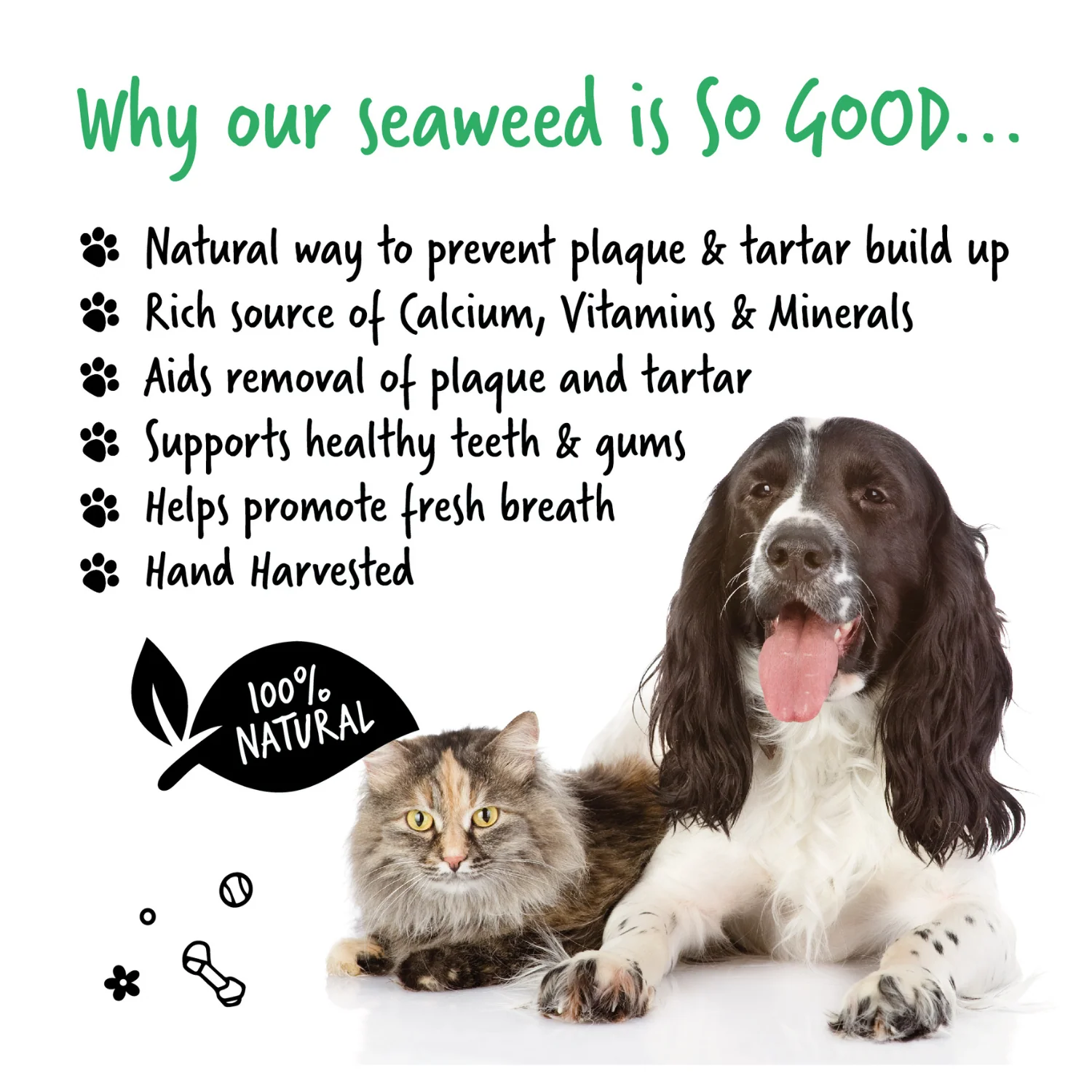 100% Natural Plaque Remover for Dogs & Cats (200g) - Image 3