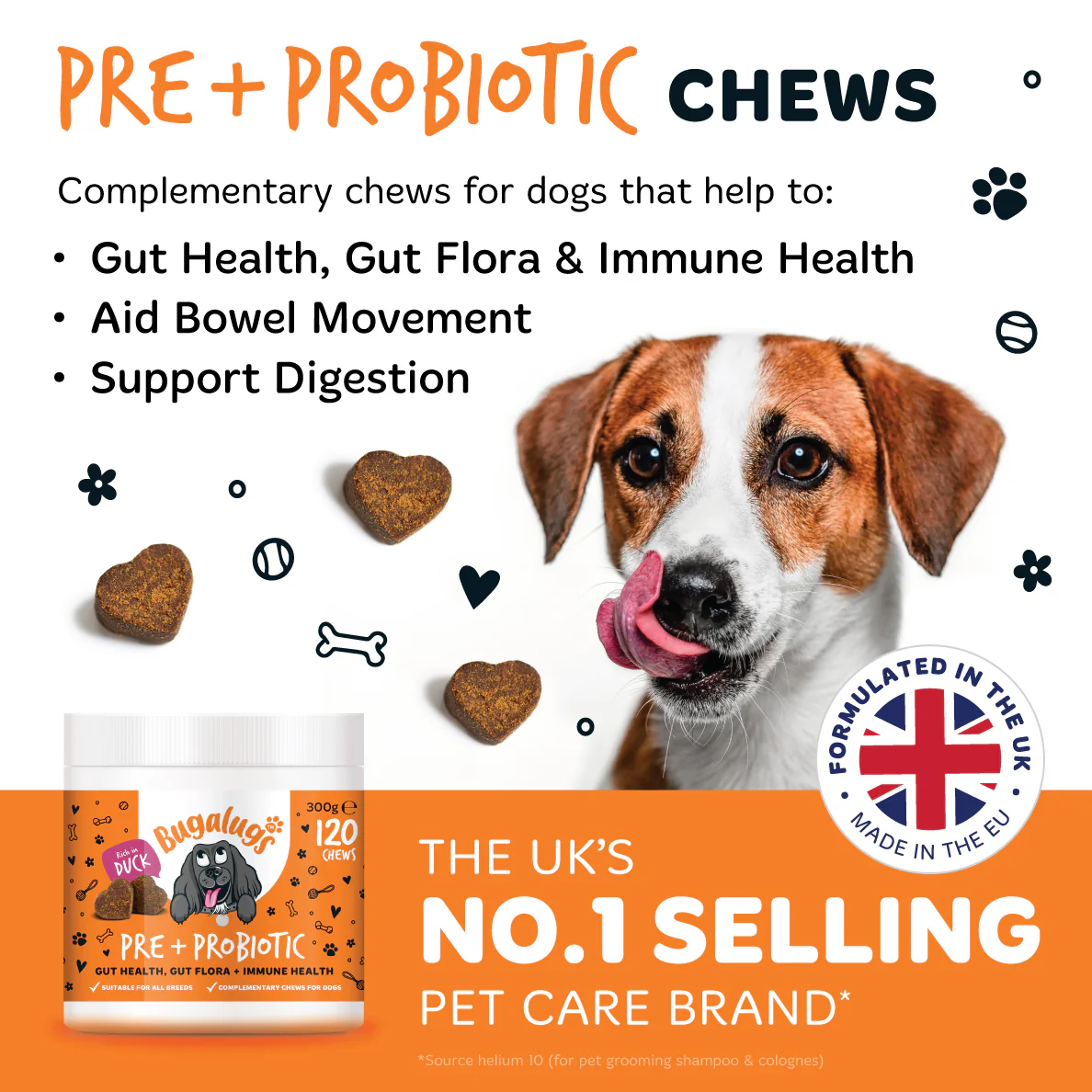 Pre & Probiotic Supplement Chews for Dogs - Image 2