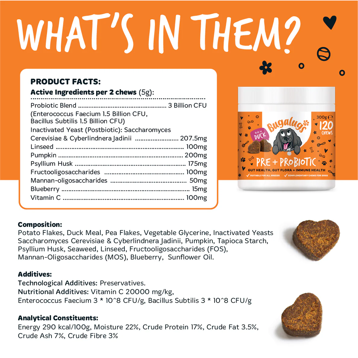 Pre & Probiotic Supplement Chews for Dogs - Image 6