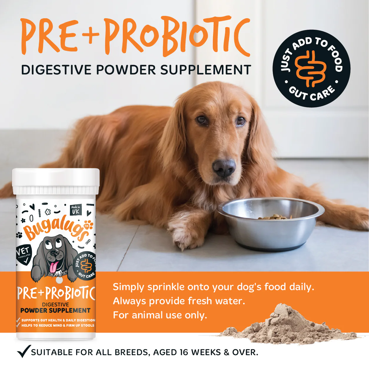 Pre & Probiotic Digestive Supplement Powder for Dogs (80g) - Image 4