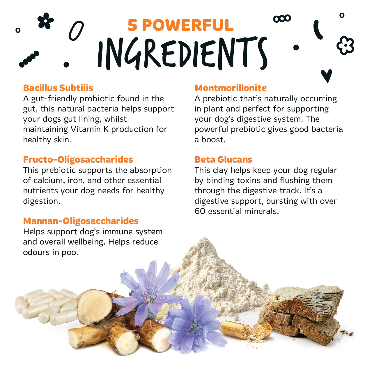 Pre & Probiotic Digestive Supplement Powder for Dogs (80g) - Image 5