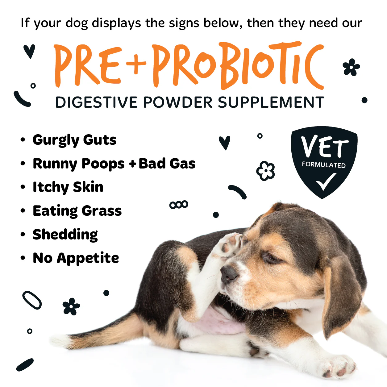 Pre & Probiotic Digestive Supplement Powder for Dogs (80g) - Image 6