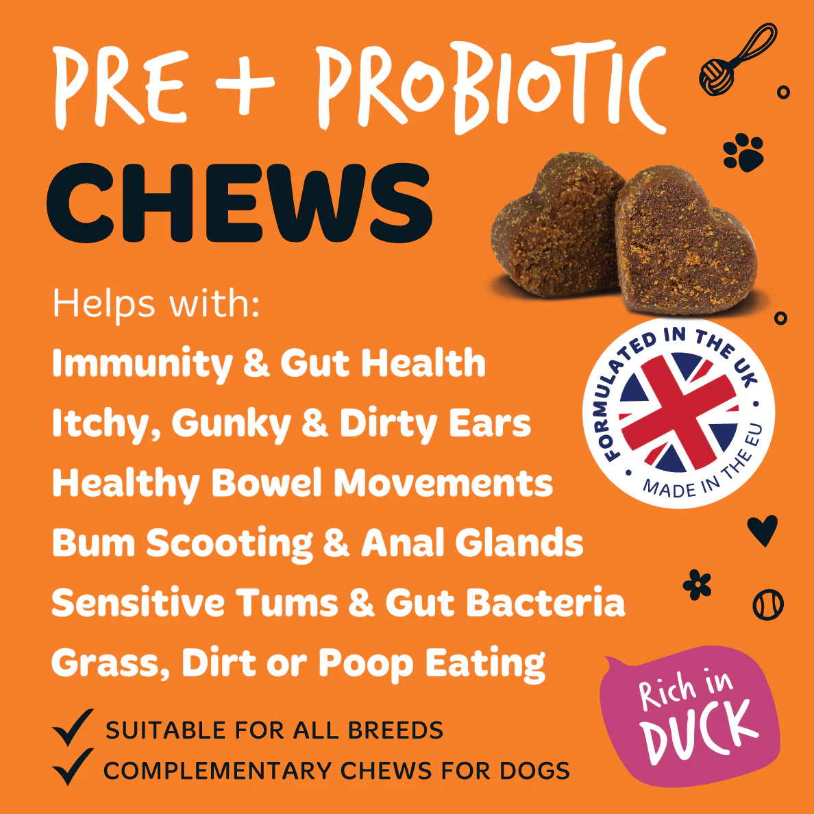 Pre & Probiotic Supplement Chews for Dogs 6-Pack - Image 7