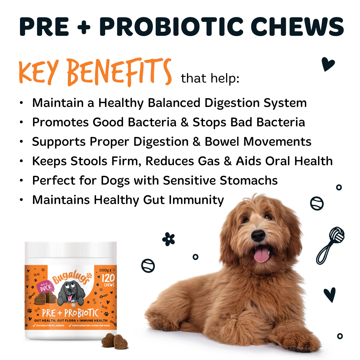 Pre & Probiotic Supplement Chews for Dogs 6-Pack - Image 8