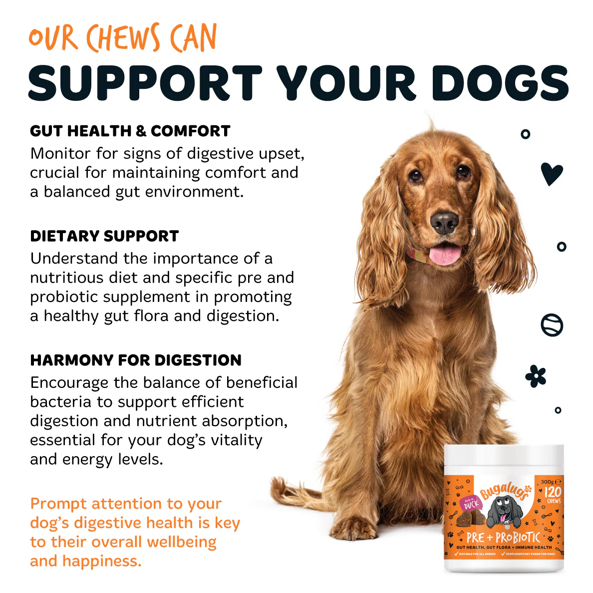 Pre & Probiotic Supplement Chews for Dogs 6-Pack - Image 9