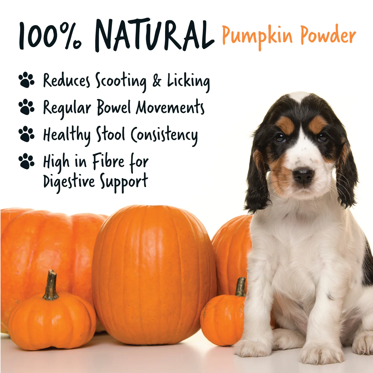 Pumpkin Powder Supplement for Dogs (200g) - Image 3
