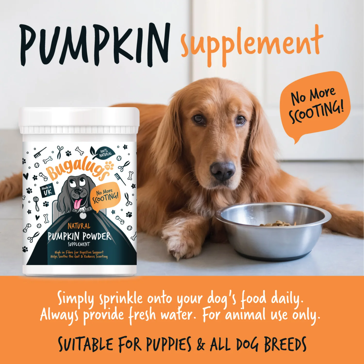 Pumpkin Powder Supplement for Dogs (200g) - Image 7