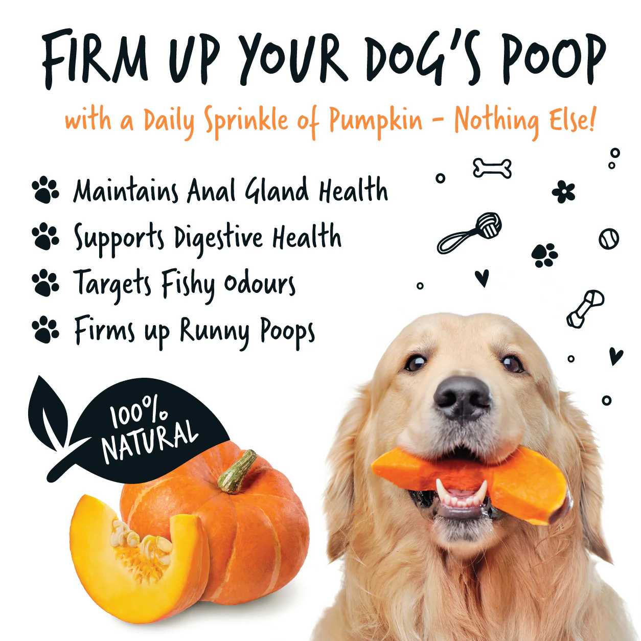 Pumpkin Powder Supplement for Dogs (200g) - Image 8