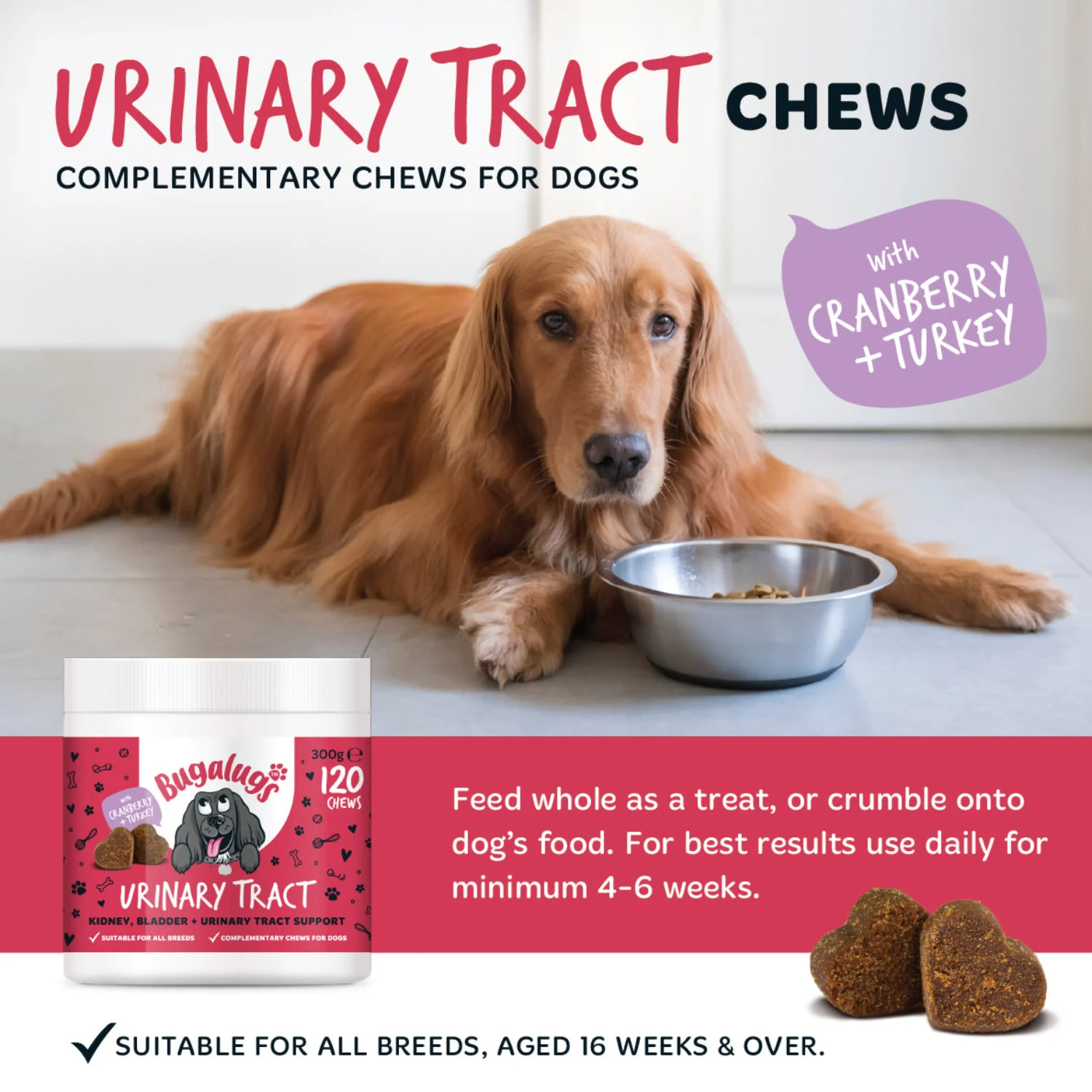 Urinary Tract Supplement Chews for Dogs 6-Pack - Image 3